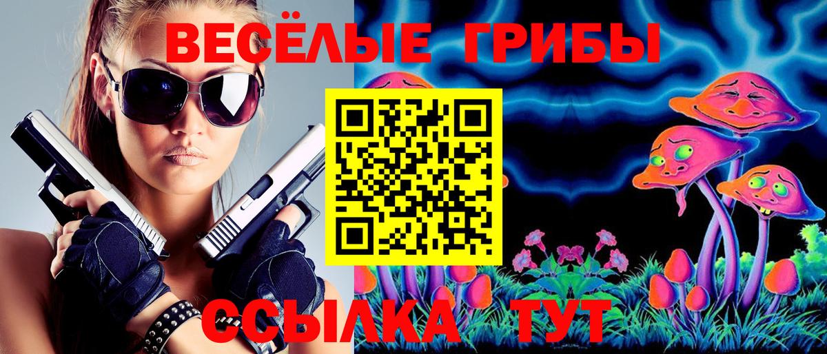 Псилоцибиновые грибы Psilocybine cubensis Назрань