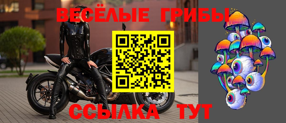 Галлюциногенные грибы мухоморы  Вход с VPN  Назрань 